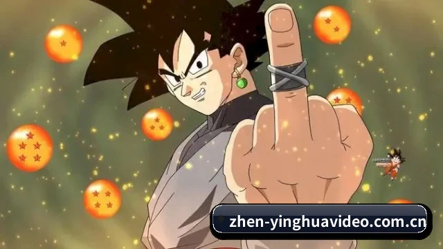 🍉 关于我们 - 体育资讯服务