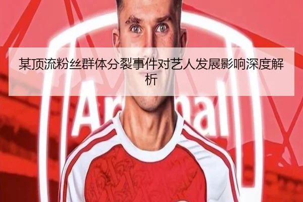 某顶流粉丝群体分裂事件对艺人发展影响深度解析